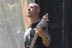 Bad Acid Trip - July 8, 2006 - Ozzfest - San Bernardino