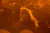Behemoth - August 12, 2006 - Sounds of the Underground - Universal Amphitheatre