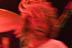 Brant Bjork - February 21, 2006 - Troubadour