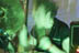 Calabrese - June 3, 2006 - Fangoria Shock-N-Roll Spooktacular - Burbank, CA