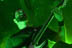 Chimaira - July 15, 2007 - Sounds of the Underground - Electric Factory