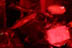 Crom - May 15, 2004 - Alex's Bar