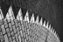 Fine Art - 