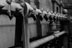 Fine Art - 
