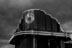 Fine Art - 