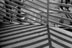 Fine Art - 