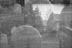 Fine Art - 