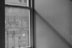 Fine Art - 