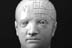 Fine Art - 