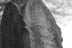 Fine Art - 