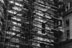 Fine Art - 