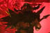 GWAR - July 15, 2007 - Sounds of the Underground - Electric Factory