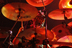 GWAR - November 26, 2011 - Electric Factory - Philadelphia PA