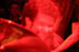 Ignite - May 19, 2006 - Troubadour