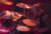Jessie Deluxe - November 11, 2005 - The Scene