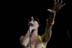 Katy Perry - July 25, 2008 - Warped Tour - Susquehanna Bank Center