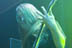 Lamb of God - July 22, 2006 - Unholy Alliance - Long Beach Arena