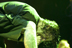 Lamb of God - August 22, 2007 - Ozzfest - Tweeter Center