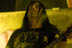 Shadows Fall - July 15, 2007 - Sounds of the Underground - Electric Factory