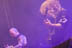 Slayer - July 22, 2006 - Unholy Alliance - Long Beach Arena