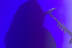 Slayer - July 22, 2006 - Unholy Alliance - Long Beach Arena