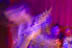 The Spores - October 29, 2005 - The Scene