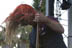 Unearth - July 22, 2005 - Sounds of the Underground - LA Sports Arena
